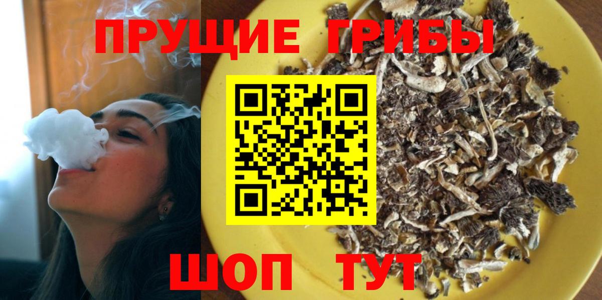 Псилоцибиновые грибы MAGIC MUSHROOMS  Вход с VPN  Кисловодск 